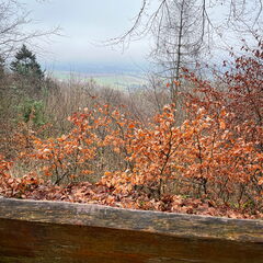 23-03-12 11-59-07 4780